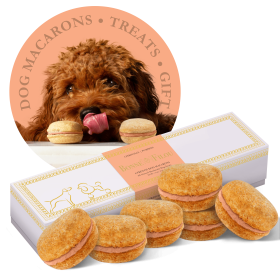 Dog Macarons - Count of 6 (Dog Treats | Dog Gifts) (flavor: Pumpkin)